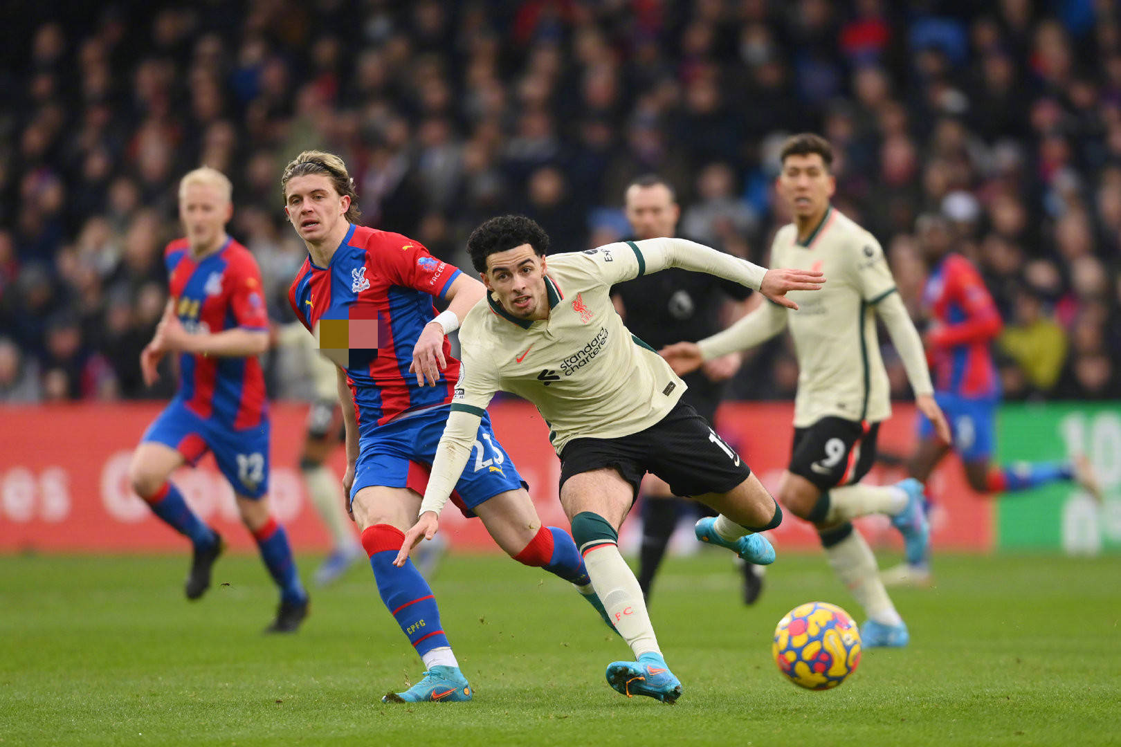 俱乐部管理 俱乐部管理